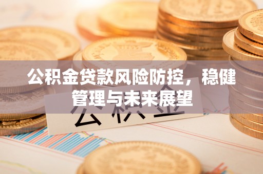 西夏公积金贷款风险防控，稳健管理与未来展望