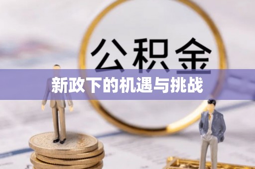 西夏新政下的机遇与挑战