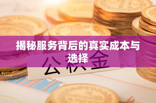 西夏揭秘服务背后的真实成本与选择