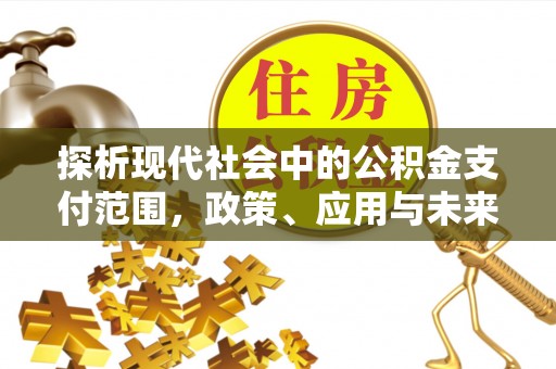 西夏探析现代社会中的公积金支付范围，政策、应用与未来趋势