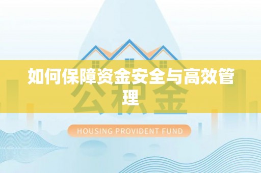 西夏如何保障资金安全与高效管理