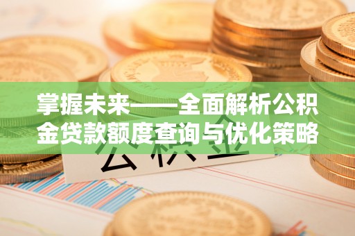 西夏掌握未来——全面解析公积金贷款额度查询与优化策略