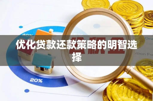 西夏优化贷款还款策略的明智选择