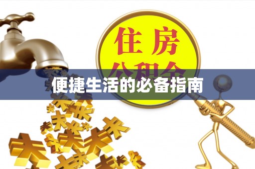 西夏便捷生活的必备指南