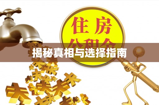 西夏揭秘真相与选择指南