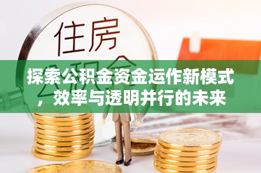 西夏探索公积金资金运作新模式，效率与透明并行的未来