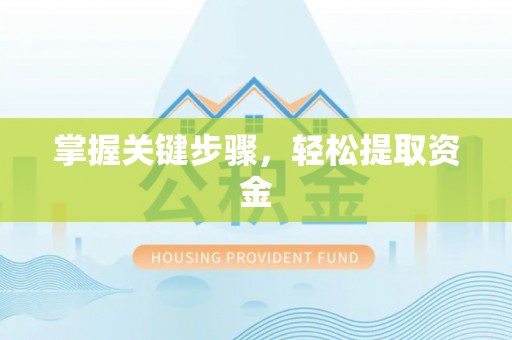 西夏掌握关键步骤，轻松提取资金