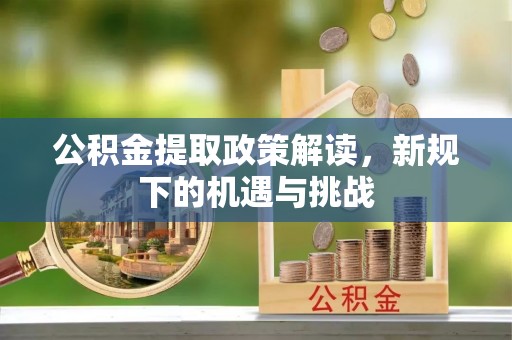 西夏公积金提取政策解读，新规下的机遇与挑战