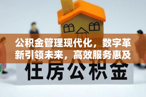 西夏公积金管理现代化，数字革新引领未来，高效服务惠及民生