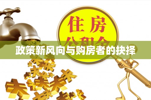 西夏政策新风向与购房者的抉择