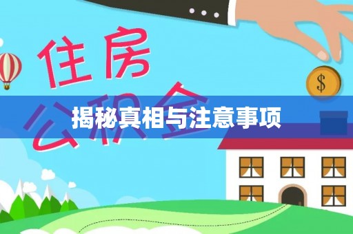 西夏揭秘真相与注意事项