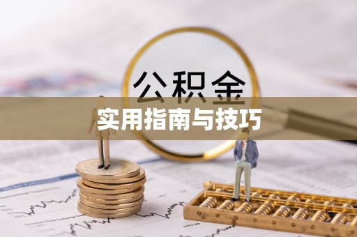 西夏实用指南与技巧