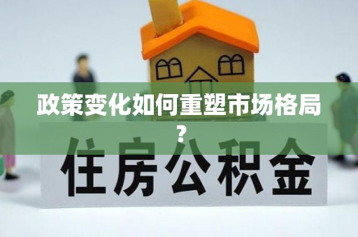 西夏政策变化如何重塑市场格局？