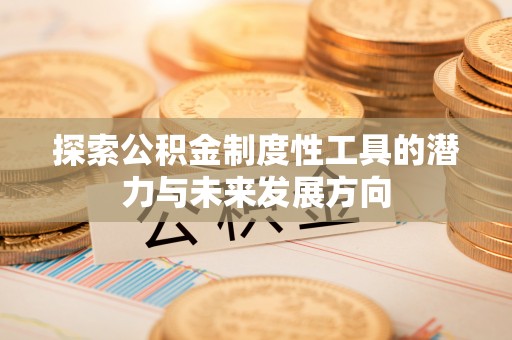 西夏探索公积金制度性工具的潜力与未来发展方向