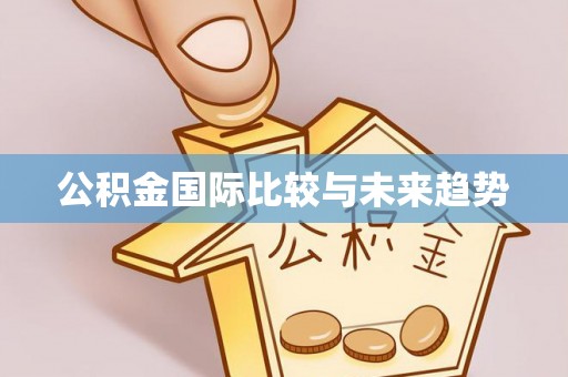 西夏公积金国际比较与未来趋势