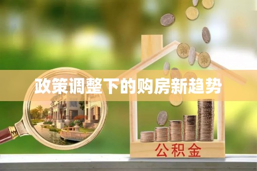 西夏政策调整下的购房新趋势