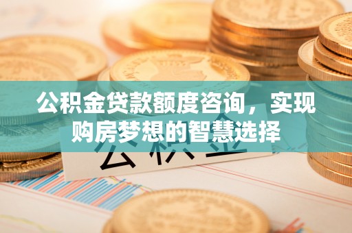 西夏公积金贷款额度咨询，实现购房梦想的智慧选择