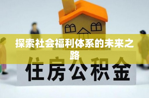 西夏探索社会福利体系的未来之路