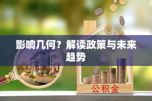 西夏影响几何？解读政策与未来趋势
