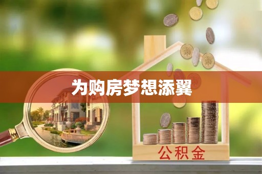 西夏为购房梦想添翼