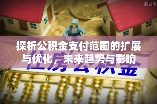西夏探析公积金支付范围的扩展与优化，未来趋势与影响