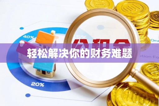 西夏轻松解决你的财务难题
