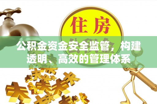西夏公积金资金安全监管，构建透明、高效的管理体系
