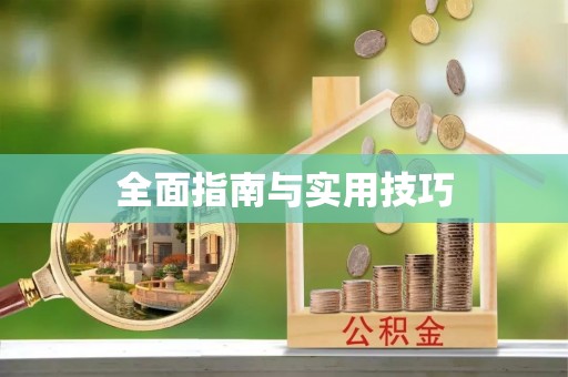 西夏全面指南与实用技巧