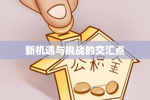 西夏新机遇与挑战的交汇点