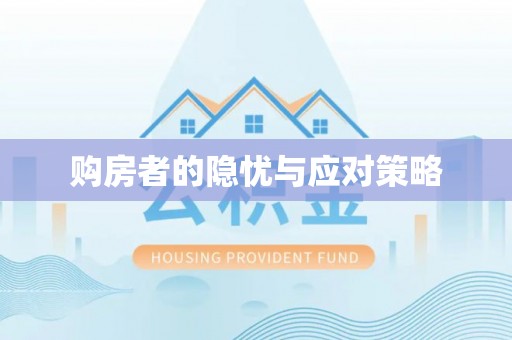 西夏购房者的隐忧与应对策略