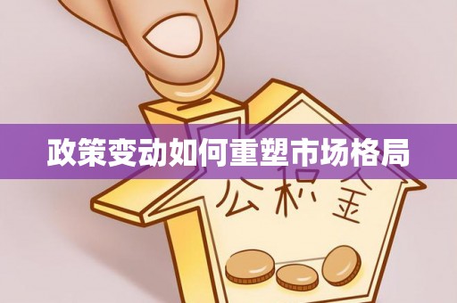 西夏政策变动如何重塑市场格局