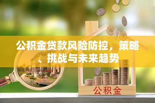 西夏公积金贷款风险防控，策略、挑战与未来趋势