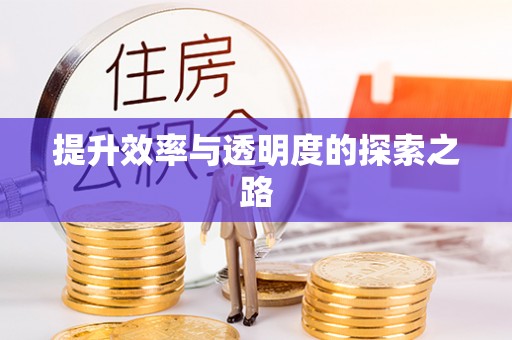 西夏提升效率与透明度的探索之路