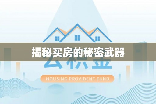 西夏揭秘买房的秘密武器