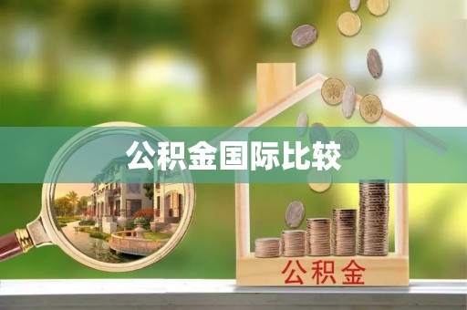西夏公积金国际比较