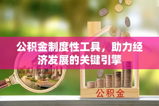 西夏公积金制度性工具，助力经济发展的关键引擎