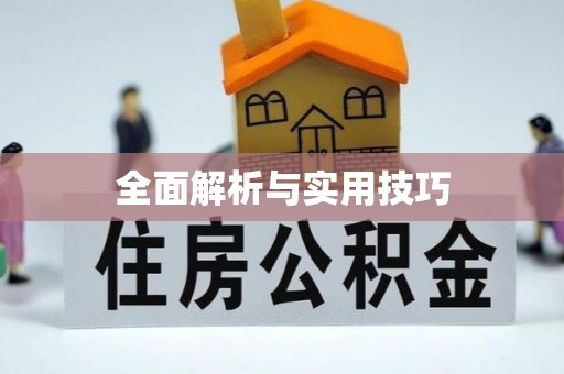 西夏全面解析与实用技巧