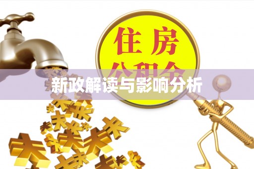 西夏新政解读与影响分析