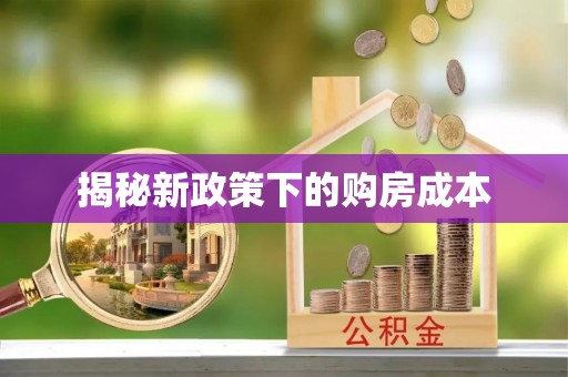 西夏揭秘新政策下的购房成本