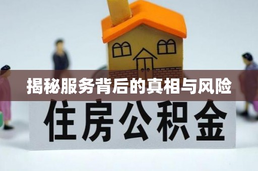 西夏揭秘服务背后的真相与风险