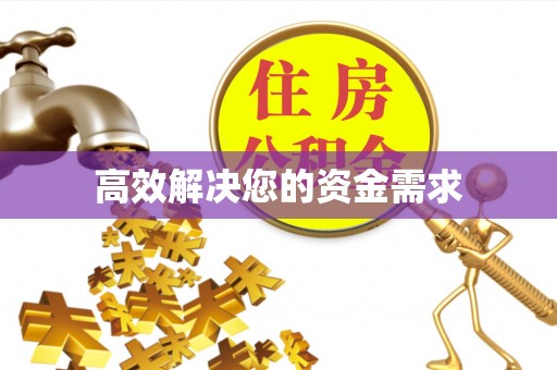 西夏高效解决您的资金需求