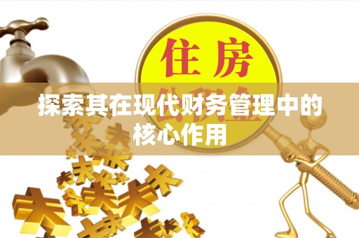 西夏探索其在现代财务管理中的核心作用