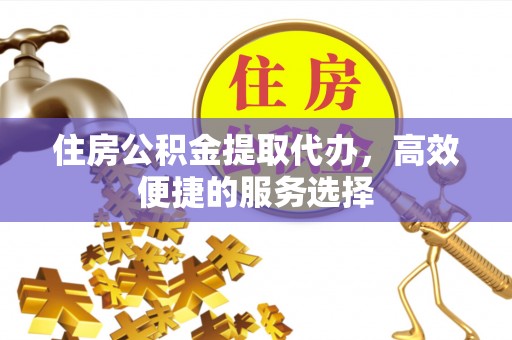 西夏住房公积金提取代办，高效便捷的服务选择