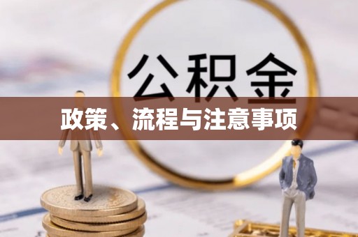 西夏政策、流程与注意事项