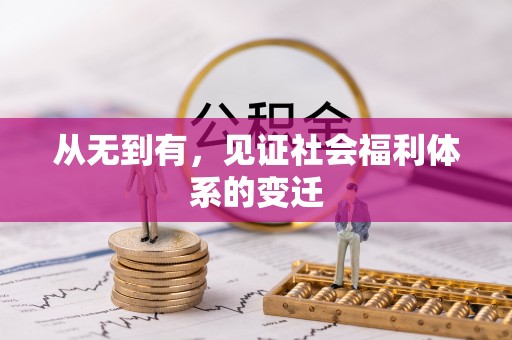 西夏从无到有，见证社会福利体系的变迁