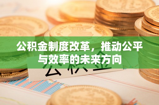 西夏公积金制度改革，推动公平与效率的未来方向
