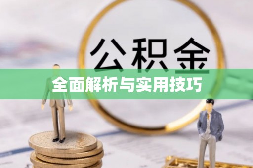 西夏全面解析与实用技巧