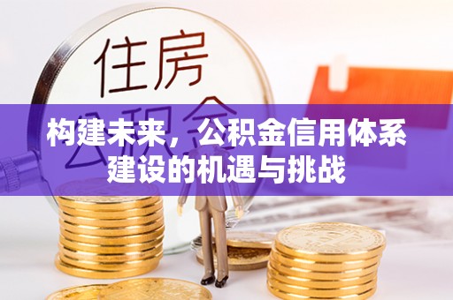 西夏构建未来，公积金信用体系建设的机遇与挑战