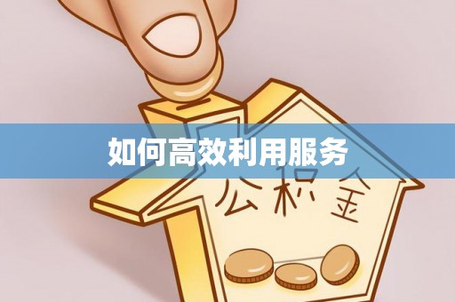 西夏如何高效利用服务