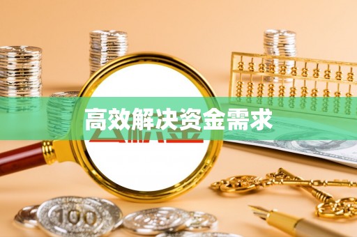 西夏高效解决资金需求